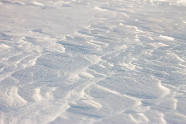 Фон снігові хвилі на заході сонця вітром — стокове фото