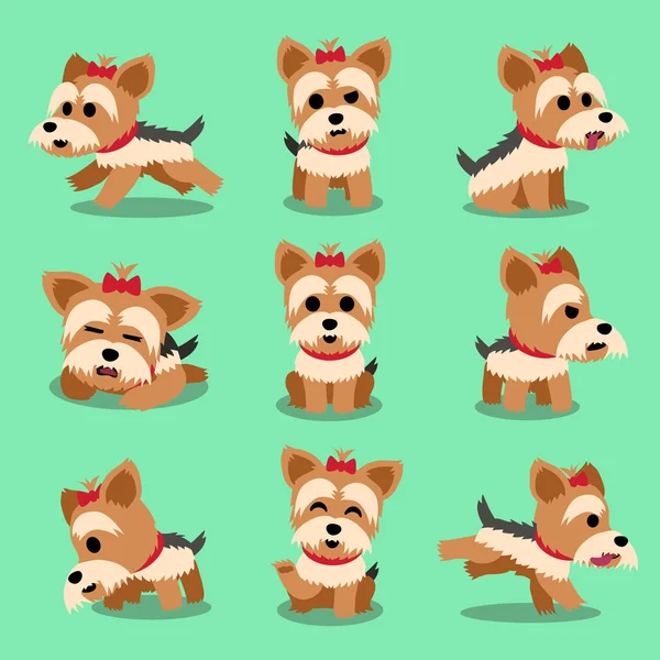 Personaje de dibujos animados yorkshire terrier perro poses conjunto — Vector de stock