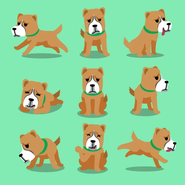 Personaje de dibujos animados alabai dog poses — Archivo Imágenes Vectoriales