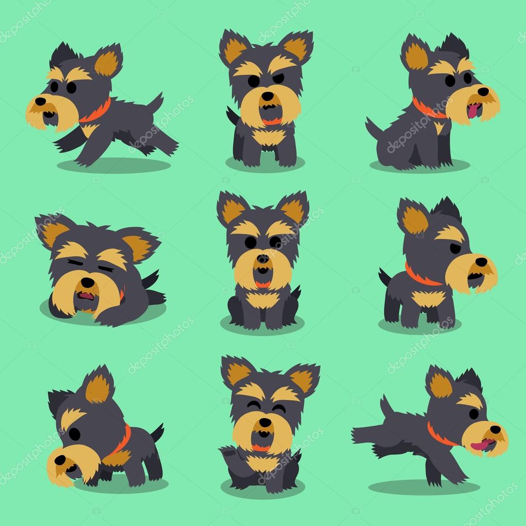 Image Result For Yorkshire Terrier Illustration Image Result For Yorkshire Terrier Illustration