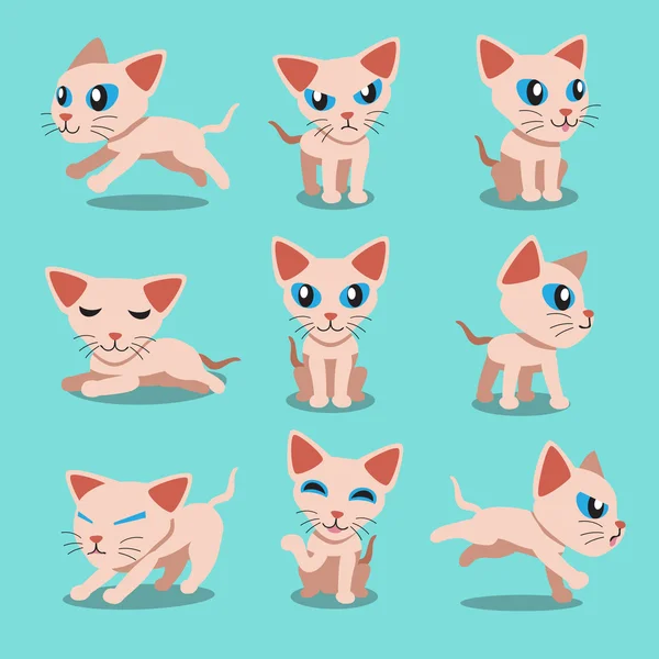 Personaje de dibujos animados sphynx gato poses — Archivo Imágenes Vectoriales