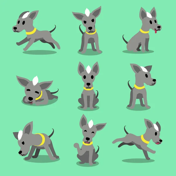 Desenhos animados personagem cão sem pêlos poses —  Vetores de Stock