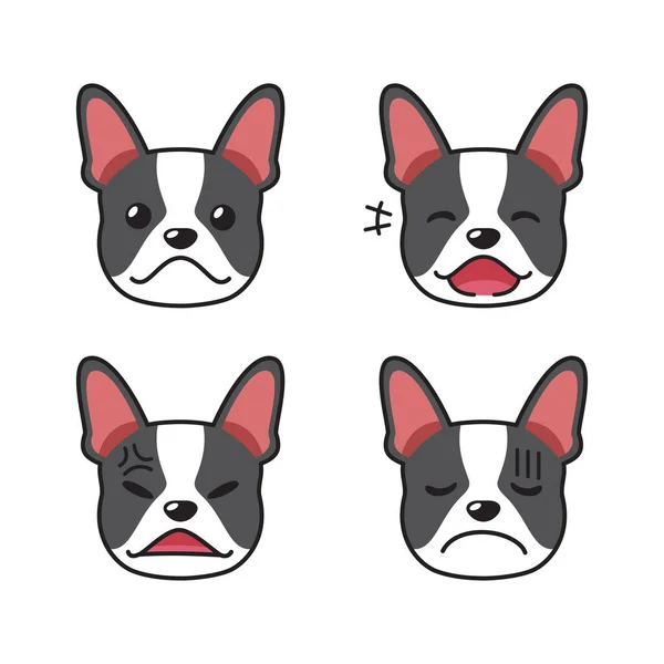 Conjunto Caras Perro Terrier Boston Mostrando Diferentes Emociones Para Diseño — Vector de stock