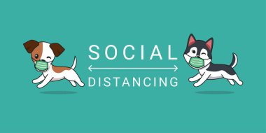 Covid-19 koruma konsepti çizgi film karakteri Jack Russell Terrier ve Sibirya köpeği koruyucu maske takıp sosyal mesafeyi dizayn etmek için.