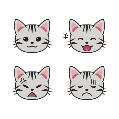 Dizayn için farklı duygular gösteren Amerikan Shorthair kedi yüzleri.