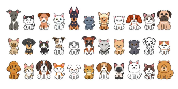 Diferente Tipo Vector Dibujos Animados Gatos Perros Para Diseño — Archivo Imágenes Vectoriales