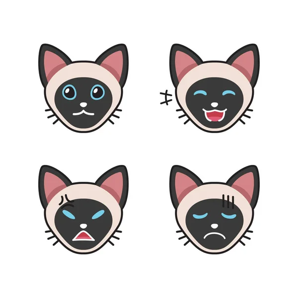 Conjunto Caras Gato Siamés Que Muestran Diferentes Emociones Para Diseño — Archivo Imágenes Vectoriales