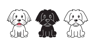 Tasarım için Malta köpeği vektör karikatür kümesi