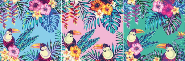 Establecer Tucán Aves Tropicales Loro Multicolor Fondo Flor Hibisco Exótico — Vector de stock