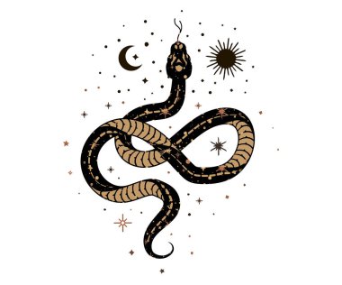İzole bohem vektör çizimi. Ezoterik yılan, yılan ve güneş süsü izi, poster, bayrak, tebrik kartı.