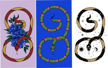 Mitoloji koleksiyonu ve el çizimi tarzında mistik poster çizimleri. Kozmik sihirli yılan. Yılan ve kır çiçekleri, ezoterik ve boho nesneleri, Yılan ve ay, Vektör İllüzyonu