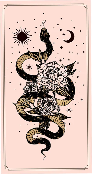 炼金术神秘莫测的魔法神符与蛇 星星神圣的几何图形隔离 灵性隐身术的对象 用黑色轮廓表示的矢量图解 — 图库矢量图片