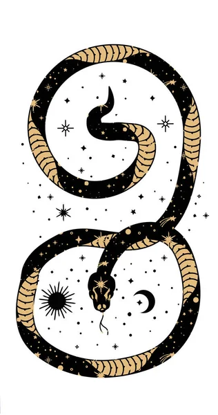 炼金术神秘莫测的魔法神符与蛇 星星神圣的几何图形隔离 灵性隐身术的对象 矢量插图概述风格 — 图库矢量图片