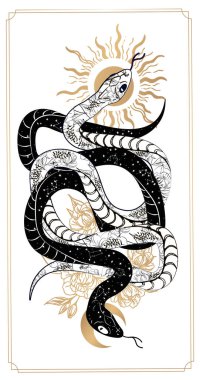 Sihirli yılan tarot kartları. Büyülü gizemli astroloji. Boho şık dövme, poster, goblen ya da sunak duvağı desenli tasarım vektörü illüstrasyonu