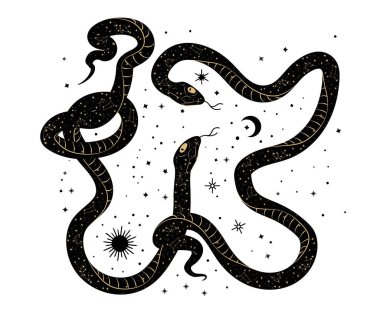 Yılanlar ve çiçekler. Dövme sanatı, boyama. Beyaz arkaplanda el çizimi klasik vektör çizimi izole edildi.