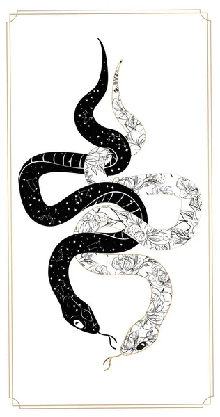 Sihirli yılan tarot kartları. Büyülü gizemli astroloji. Boho şık dövme, poster, goblen ya da sunak duvağı desenli tasarım vektörü illüstrasyonu