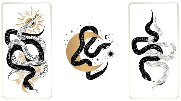 Sihirli yılanlar tarot kartları. Tarot kartları, esrarengiz ruhani yılanlar bilgelik kartları, vektör illüstrasyonları. Sihirli yılan tarot kartları. büyülü esrarengiz astrolog