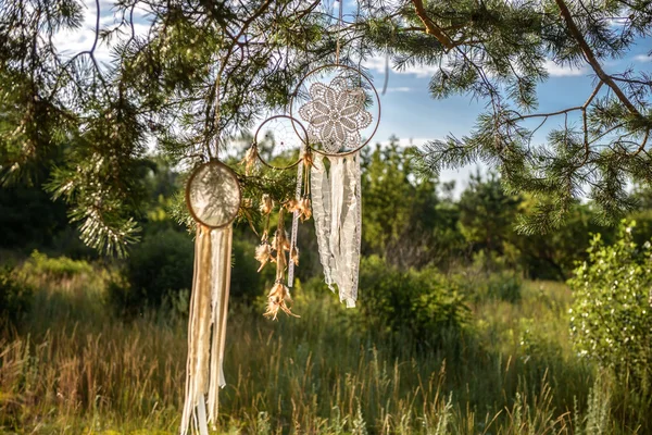 Kouzlo na stromě v lese. Svatební doplňky na stromě. Hippie příslušenství na stromě. — Stock fotografie