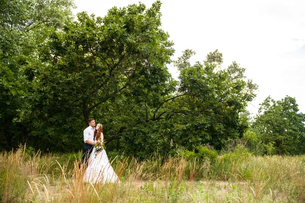 O casal nas orelhas de trigo na floresta. A noiva e o noivo nas orelhas de trigo no Parque . — Fotografia de Stock