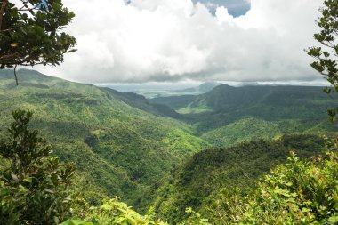 Black River Park peyzaj