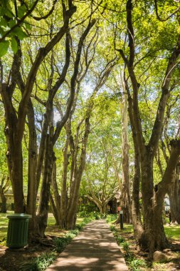 Casela Park peyzaj Mauritius
