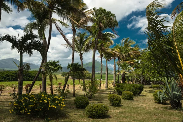 Casela park landschaft in mauritius — Stockfoto