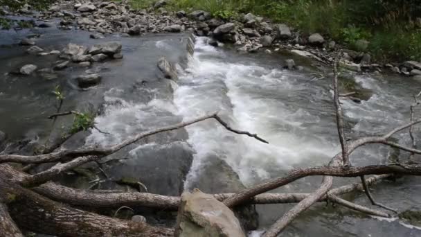 En flod rinner över stenar i denna vackra scen i Karpaterna i sommar — Stockvideo