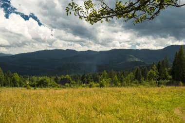 Karpat Dağları güzel manzara