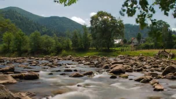 Mooie bergen en rivier in de Karpaten. bergdal met de rivier en bos. de rivier stroomt over rotsen in deze mooie scène 4k. Natuur een rust en stilte. dynamische uitzoomen timelapse — Stockvideo
