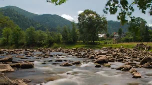 Hermosa montaña y río en Cárpatos. valle de montaña con río y bosque. río fluye sobre rocas en esta hermosa escena 4K. Naturaleza una paz y tranquilidad. zoom dinámico hacia fuera timelapse — Vídeo de stock