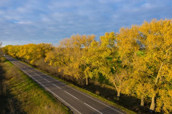 Route asphaltée avec feuilles tombées en automne au coucher du soleil vue aérienne. — Photo