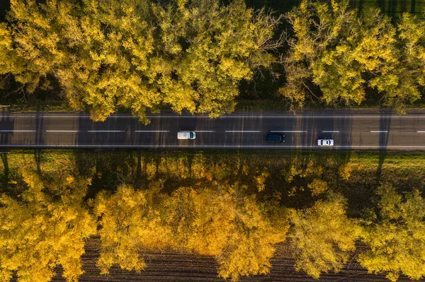 車と美しい色の木の空中トップビューと道路と秋の風景. — ストック写真