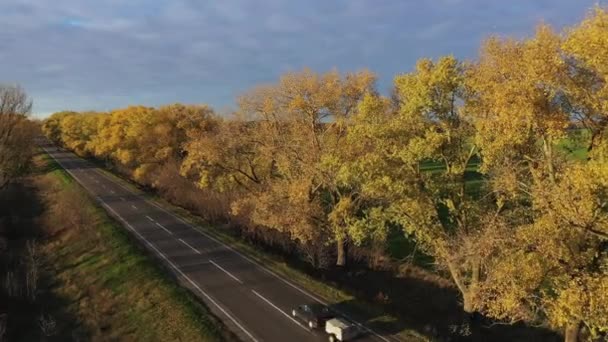 Sonbaharda yaprakları dökülen asfalt yol günbatımının hava manzarasında. — Stok video