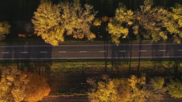 Sonbahar manzarası arabalı yol ve güzel renkli ağaçlar gökyüzü manzaralı.. — Stok video