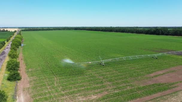 Geautomatiseerd irrigatiesysteem in het veld in de zomerlucht. — Stockvideo