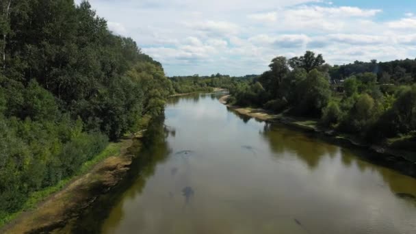 Natureza paisagem do rio vista aérea. — Vídeo de Stock