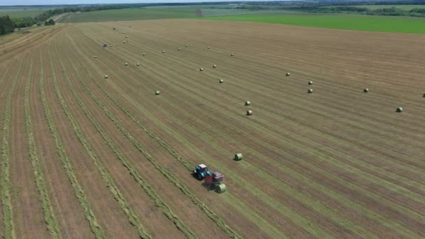 Rural landscape field meadow with hay bales. A round baler discharges a fresh wheat bale during harvesting aerial view. — Stock Video