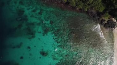 İnsanlar mercan resiflerinin yanında yüzüyor.