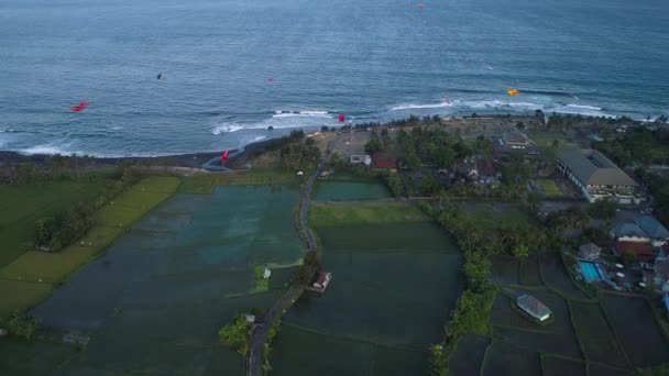 Drakar Flyga på Ocean Shore Nära Rice Terrasser på kvällen — Stockvideo