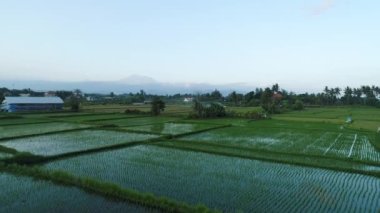 Akşamları Rice Terasları üzerinde uçuş. Volkan Agung 'un manzarası. Endonezya, Bali.