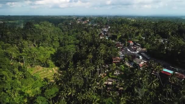 Strzał z powietrza w Tegallalang Green Land Village. Wspaniałe tarasy ryżowe na wyspie Bali. — Wideo stockowe