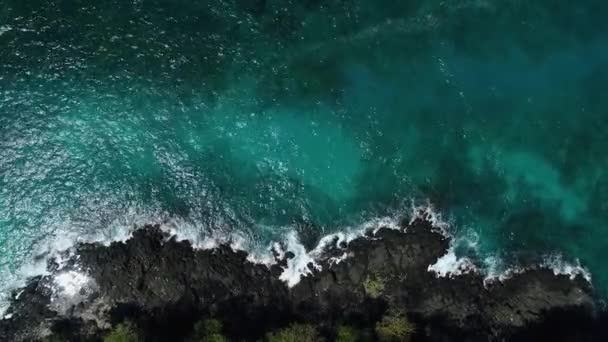 Океан ждет прорыва на рифе — стоковое видео