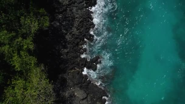 Océano olas rompiendo en el arrecife — Vídeos de Stock