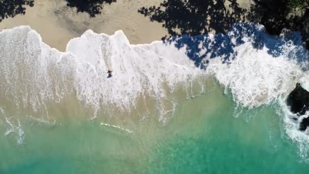 바다의 아름다운 해변 너머의 여름 날 — 비디오