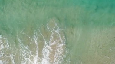 Dalgalar ve Sarı Plajlı Okyanus