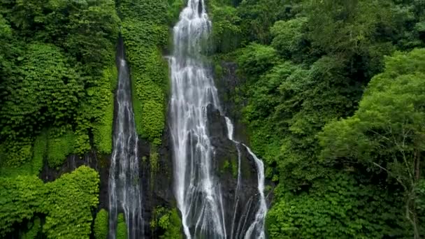 Romantischer Wasserfall im Dschungel. — Stockvideo