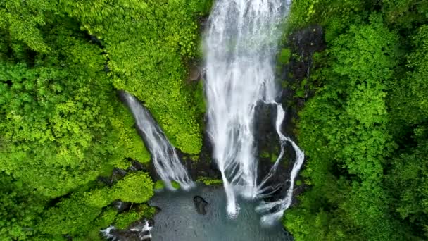 Maravillosa cascada tropical en Bali, Indonesia — Vídeos de Stock