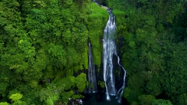 Wodospad Banyumala Twin, Wanagiri, Bali — Wideo stockowe