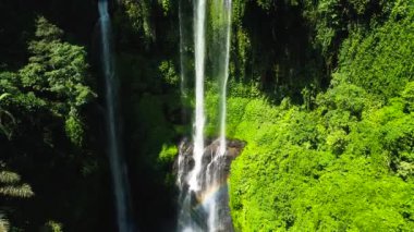 Endonezya, Bali Adası 'ndaki Tropikal Sekumpul Şelaleleri. Egzotik Şelale ve Güzel Gökkuşağı.