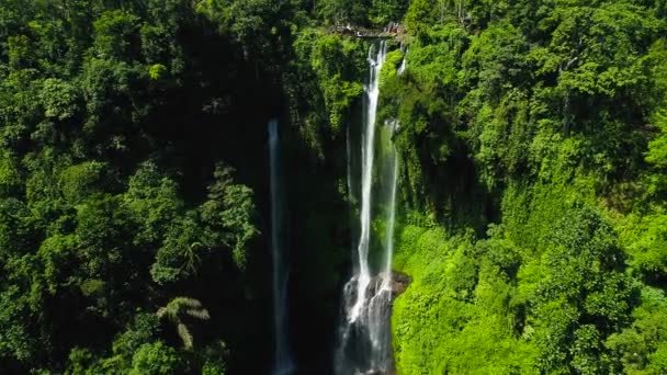 Yeşil Yağmur Ormanında Güçlü Tropikal Şelale. — Stok video